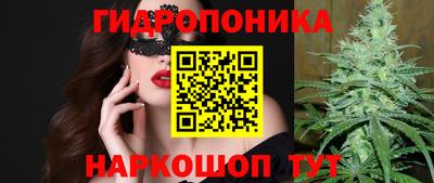 винт Мирный