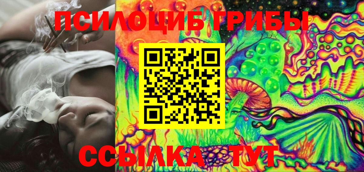 Псилоцибиновые грибы мухоморы Котовск