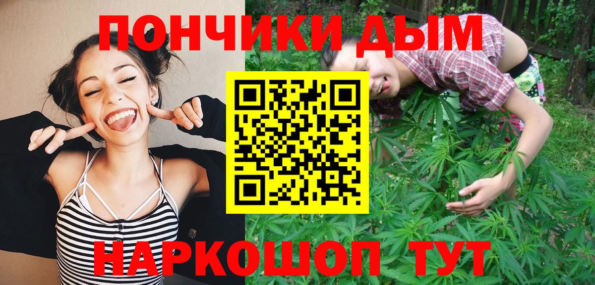 Конопля гибрид Котовск